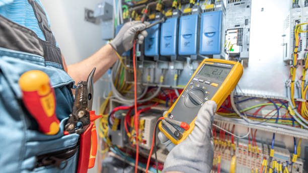 Best Electrical System Inspection  in Rio Grande City, TX